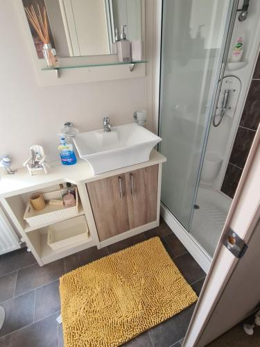 a bathroom with a sink and a shower at Mini lodge hot tub hols at Kingfisher Court in Tattershall