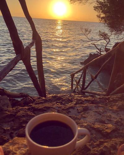 a cup of coffee sitting on a table near the ocean at The Island - Pongwe Lodge in Pongwe