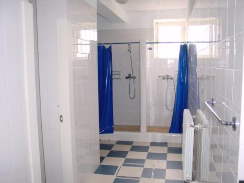 a bathroom with a shower with blue shower curtains at Stone Farm Hostel in Felgueiras