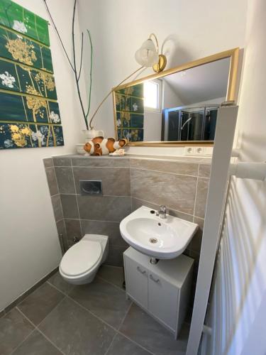 a bathroom with a sink and a toilet and a mirror at Romantisches Gästezimmer - Zentralgelegen in Wehrheim