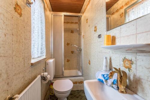 a bathroom with a toilet and a sink at Ferienwohnung Oberrißtraum in Schliersee
