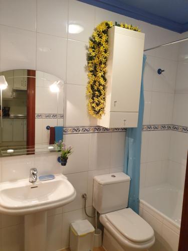 Apartamentos Dana Madrid tesisinde bir banyo