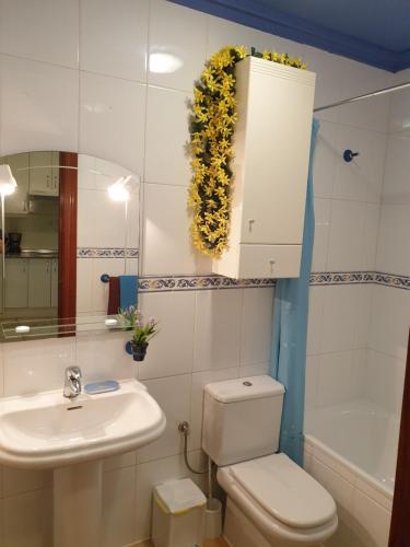 W łazience znajduje się toaleta, umywalka i lustro. w obiekcie Apartamentos Dana Madrid w Madrycie