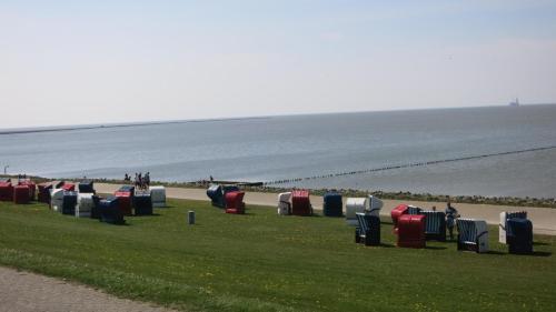 a row of suitcases sitting on the grass near the beach at Ferienhäuser Seemannsgarn in Friedrichskoog-Spitz