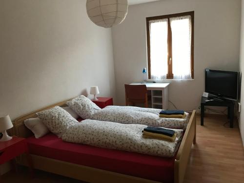 1 Schlafzimmer mit 2 Betten, einem Schreibtisch und einem TV in der Unterkunft Grotto Zendralli in Roveredo