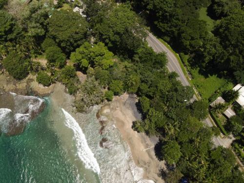 an overhead view of a beach with trees and water at AroCocles (Paula) in Cocles