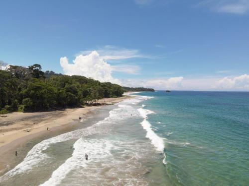 an aerial view of a beach with people in the water at AroCocles (Paula) in Cocles