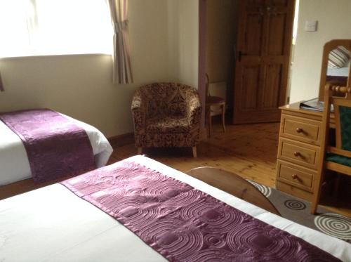 a hotel room with two beds and a chair at Deerpark Manor Bed and Breakfast in Swinford