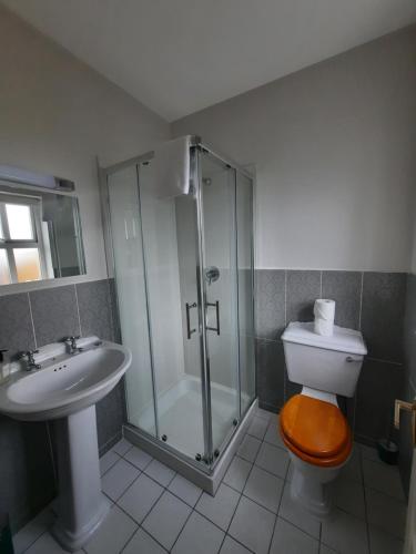 a bathroom with a shower and a toilet and a sink at Studio D in Doolin