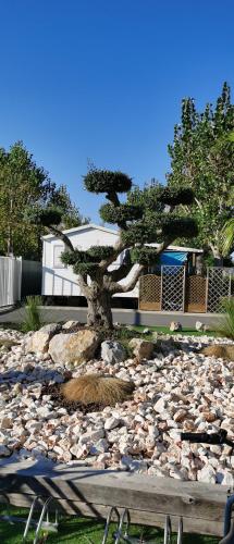 a tree sitting on top of a pile of rocks at Les sables du midi in Valras-Plage