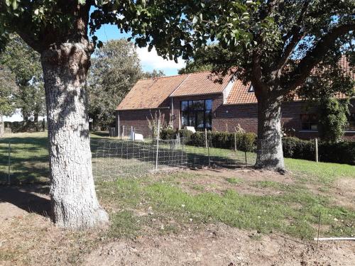 two trees in front of a house at Het Meikenshof in Dentergem