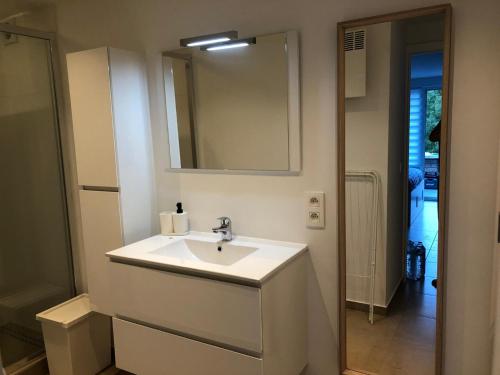 une salle de bains avec un lavabo blanc et un miroir dans l'établissement Terrasses de Malmedy Studio 331-BOLY, à Malmedy