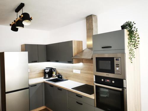 uma cozinha com um frigorífico e um micro-ondas em Apartmán Mlýnská Strouha em Plzeň