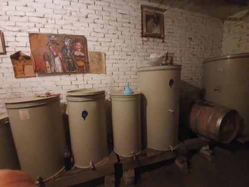 Slankamenački VinogradiにあるVila Rio - obronci Fruške Goreのギャラリーの写真