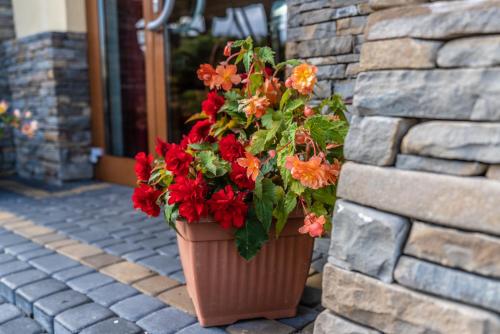 a flower pot hanging on a brick wall at Dunajecki Dworek in Zakopane