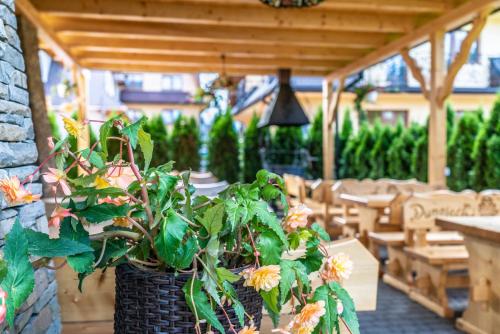 a potted plant sitting on a table in a restaurant at Dunajecki Dworek in Zakopane
