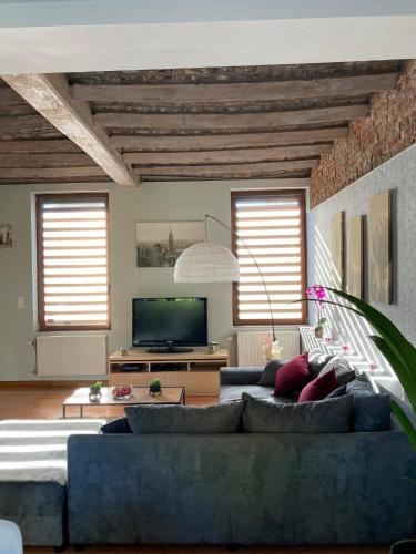Una sala de estar con un sofá azul y un televisor. en Green Lodges, en Blaregnies