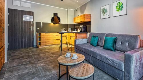 Kuchyň nebo kuchyňský kout v ubytování Apartament Studio Holiday Mountain Residence - 5D Apartamenty