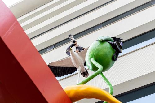 un pájaro verde está colgando de un edificio en Volkshotel en Ámsterdam