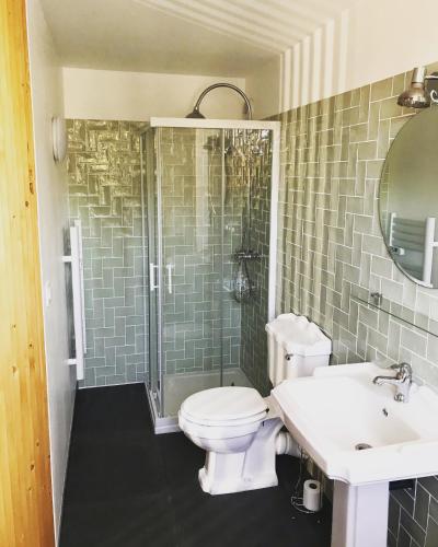 a bathroom with a toilet and a sink and a shower at Léhontine in Dinan