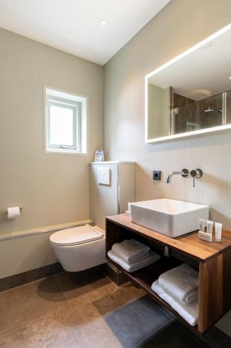 a bathroom with a sink and a toilet and a mirror at Prins Hendrik Texel in Oost