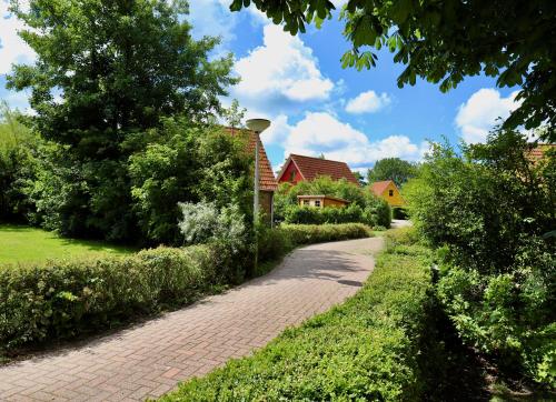 Jardí fora de Prins Hendrik Bungalowpark