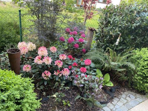 a garden with pink flowers and other plants at Ferienwohnung Bellissima in Ering