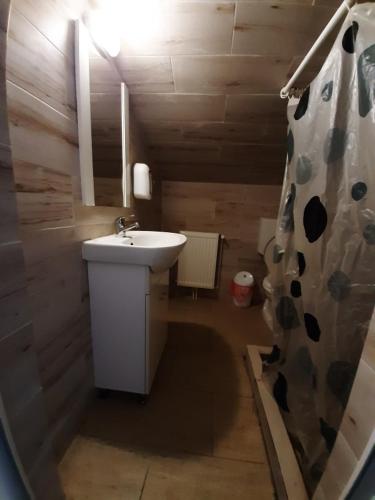 a bathroom with a sink and a shower curtain at COMPLEX TURISTIC CASIANNA & Spa in Păltiniş