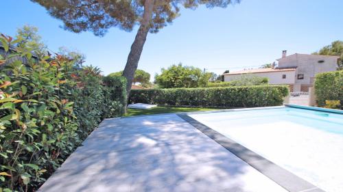 - une piscine dans une cour avec un arbre dans l'établissement Villa Carpe Diem, aux Issambres