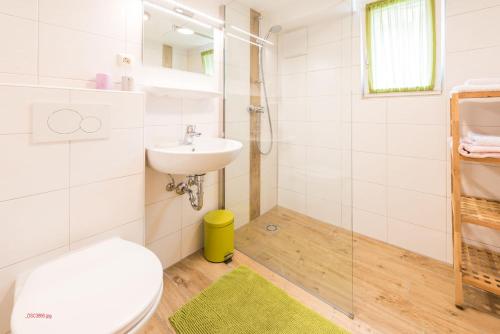 La salle de bains est pourvue de toilettes et d'un lavabo. dans l'établissement Almliesl GAST-387, à Bad Gastein