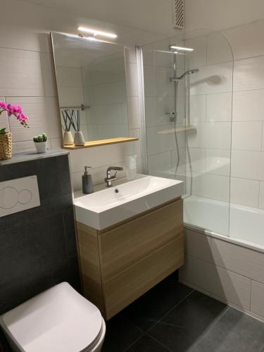 a bathroom with a sink and a shower and a toilet at Alpenblick Suite in Bad Goisern