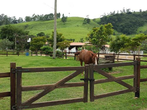 a brown horse standing behind a wooden fence at Pousada Recanto da Siriema in Monte Alegre do Sul