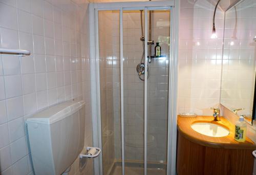 a bathroom with a shower and a sink and a toilet at Suite sulle piste in Faidello