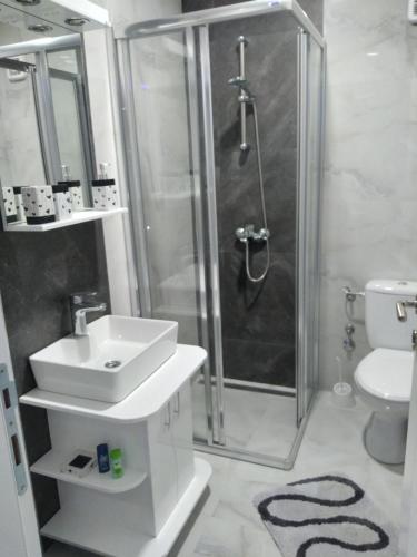 Kopalnica v nastanitvi Apartman Deluxe
