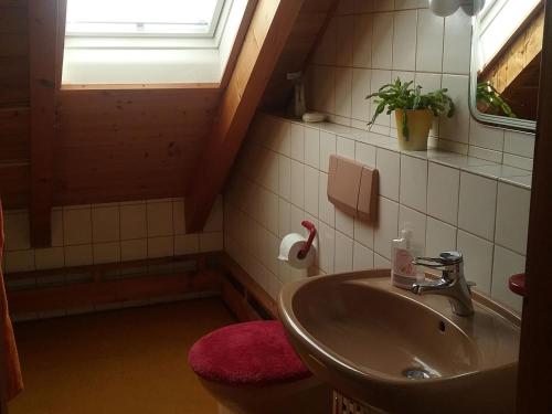 モースにあるFerienwohnung Ingeborg Schmitzのバスルーム(洗面台、窓付)