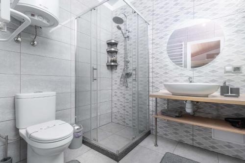 a bathroom with a shower and a toilet and a sink at Cottage RoKSa 2 in Slavske