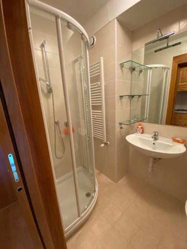 a bathroom with a shower and a sink at Christian's apartments in Breuil-Cervinia