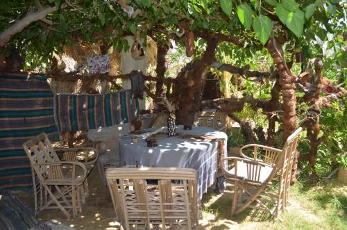 Giardino di Mountain Camp Ali Khaled