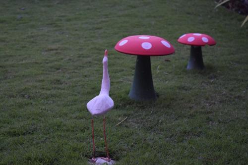 a fake bird standing in the grass with two mushrooms at Casa em Ponta De Pedras- Encanto do Litoral! in Recife