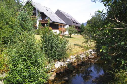 A6 Albmatte-FEWO Sauna, Hallenbad Außenbecken Massagen nebenan في Menzenschwand-Hinterdorf: منزل أمامه نهر