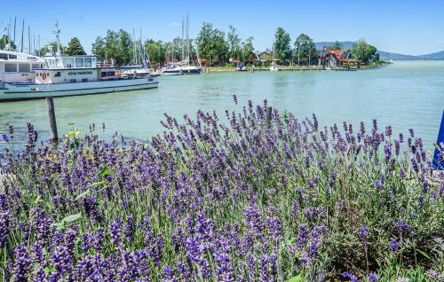Galeriebild der Unterkunft Liget lakópark in Fonyód