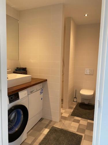 Un baño con lavadora y un inodoro. en Torenkamer Middelburgh, en Middelburg