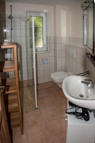 a bathroom with a sink and a toilet at Ferienwohnung Zimmert in Zimmert