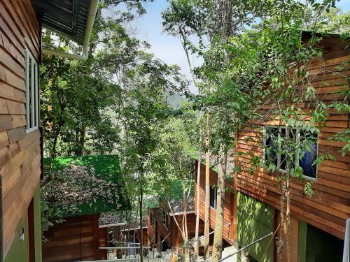 a view from the outside of a house with trees at Utan Teluk Nipah in Pangkor