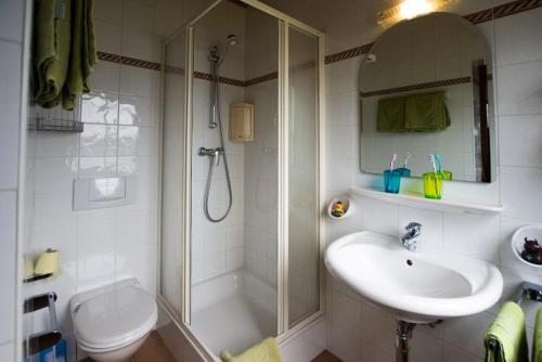 y baño con ducha, lavabo y aseo. en Ferienwohnung KraftTanken en Hallstatt