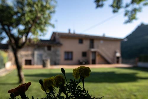 a house in the background with yellow flowers in the foreground at El Boix in Santa Maria de Besora