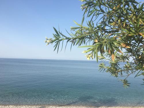 a view of the ocean from a tree at Barby Butik Otel in Kemer