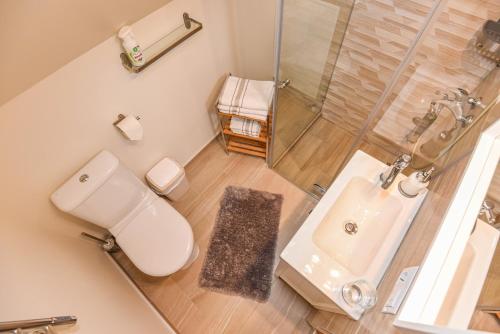 a bathroom with a toilet and a shower and a sink at "Pamario Namelis" - Preiloje in Neringa