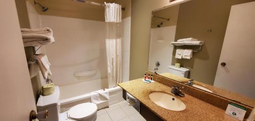 Grand Forks Inn في غراند فوركس: حمام مع حوض ومرحاض ودش