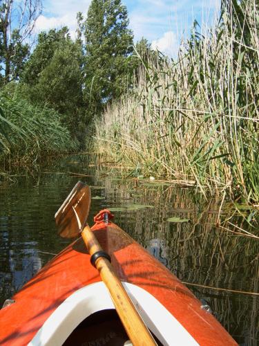 a boat with a paddle in the water at Storchenblick in Schlepzig